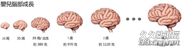 下载 (1).jpg