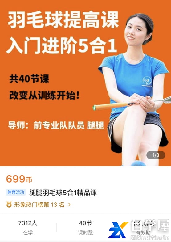 腿腿：羽毛球5合1精品课.jpg