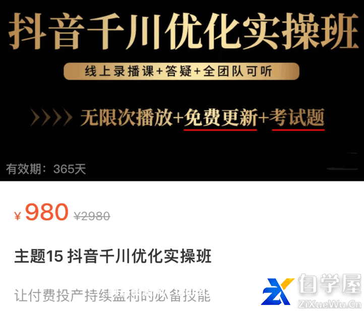 诸葛老王·抖音千川优化实操班价值980元.png