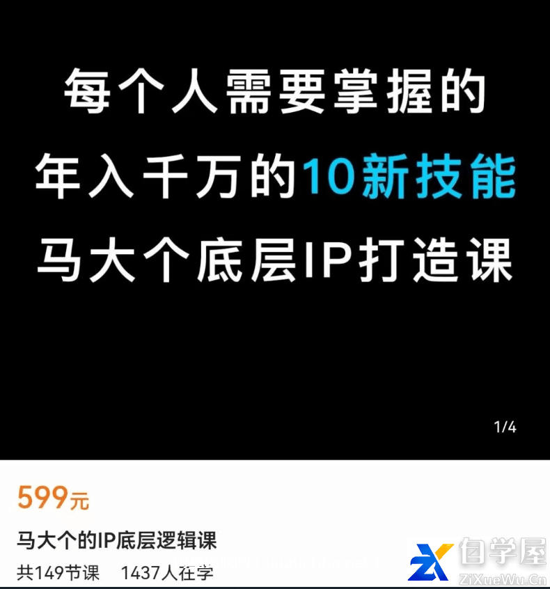 马大个的IP底层逻辑课149节完整价值599元.png