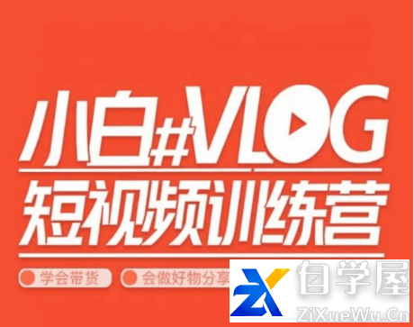 小呆说视：小白VLOG短视频训练营.png