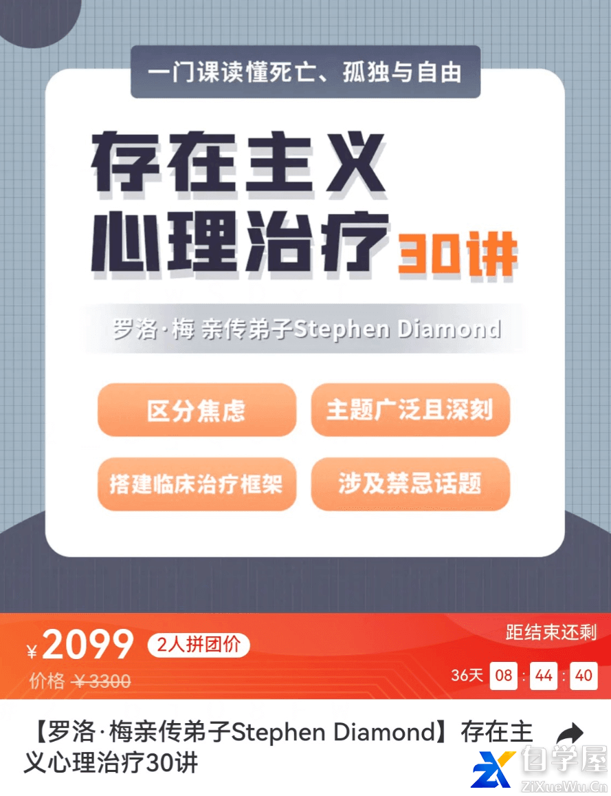 【罗洛·梅亲传弟子Stephen Diamond】存在主义心理治疗价值2099元.png