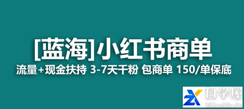 蓝海项目【小红书商单】流量 现金扶持，快速千粉，长期稳定，最强蓝海.png